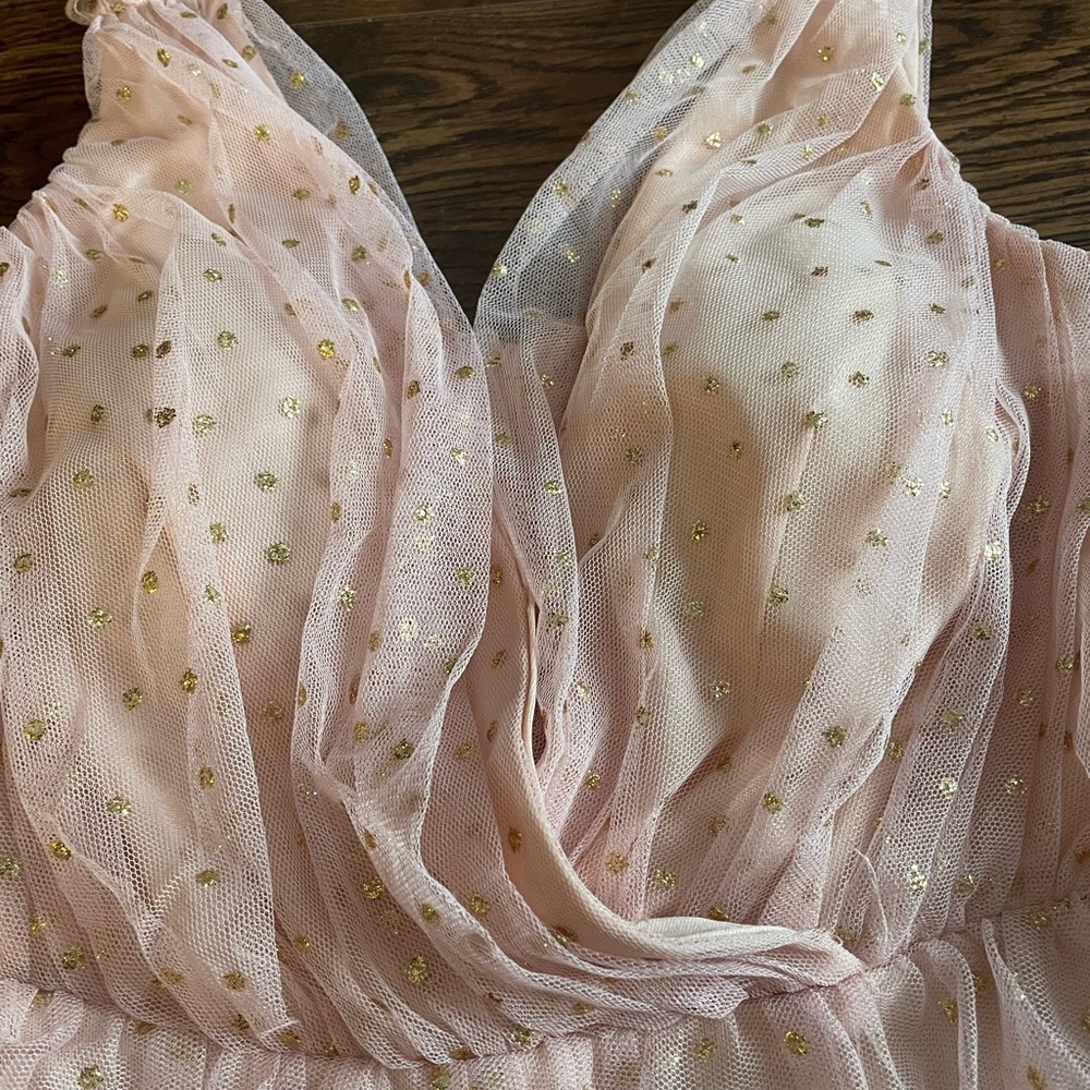 BNWT Mesh pink ruffle with dot of golden dress - Picture 3 of 10